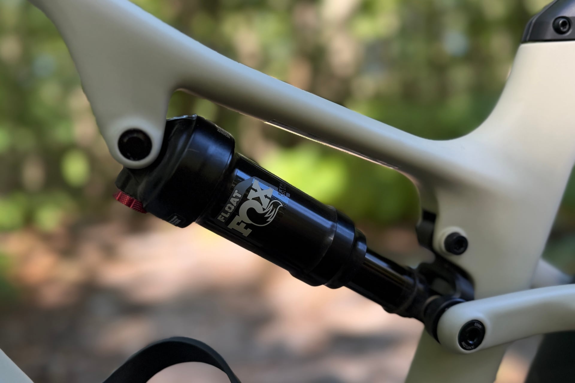 Amflow Tl Carbon Test 2