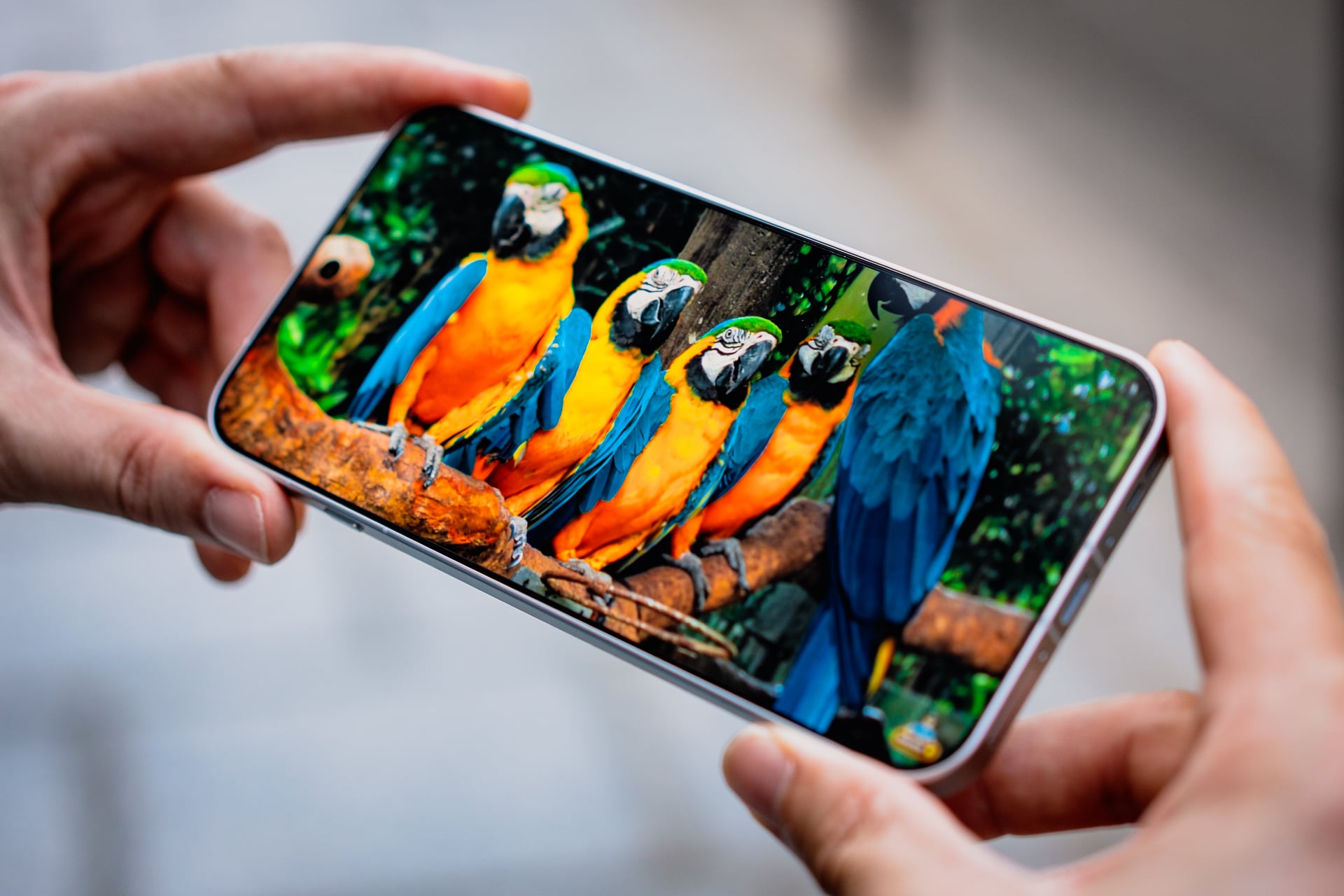 Dsc00284 10 Oppo Find X10 Pro Max