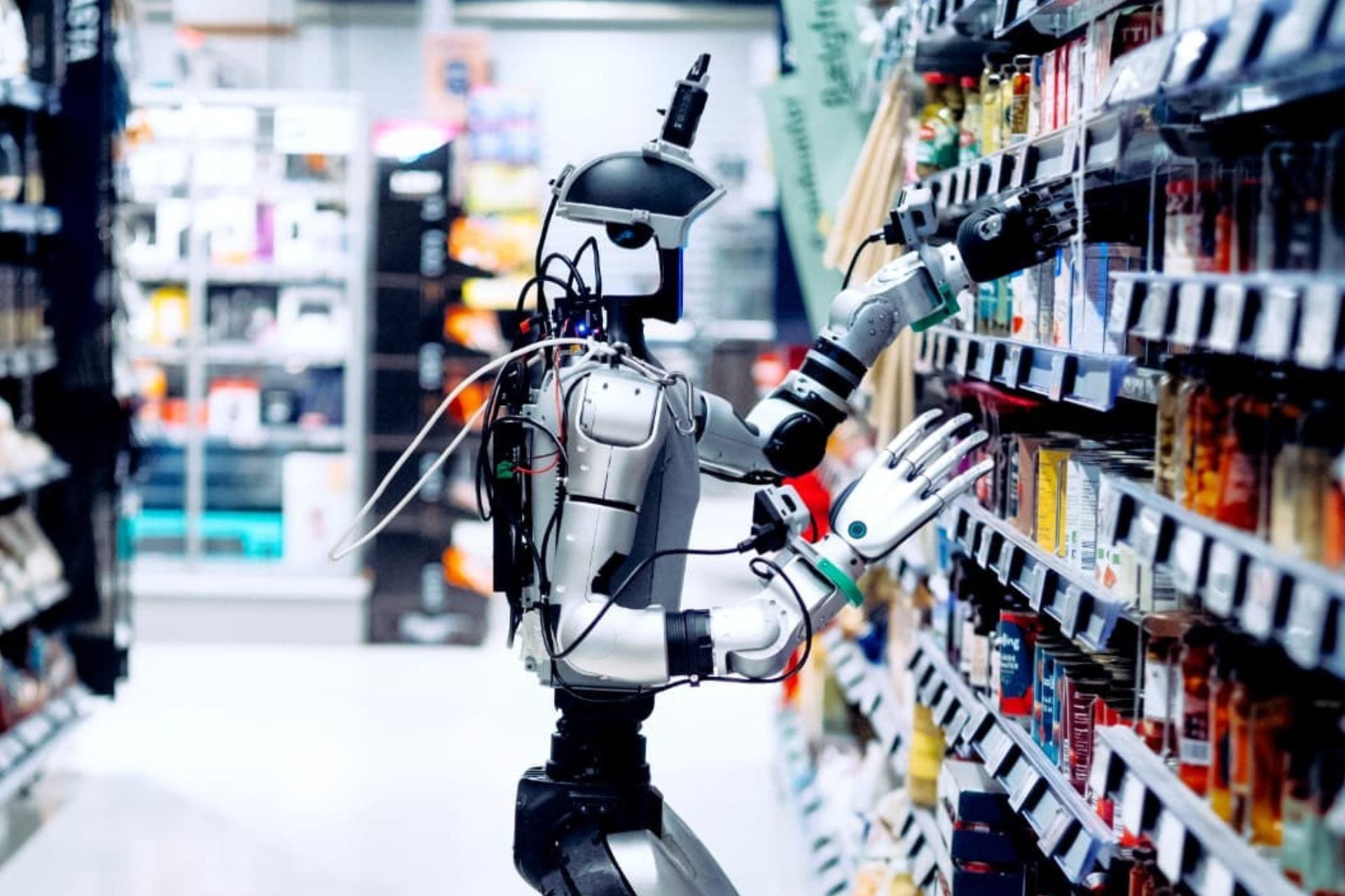 Robot