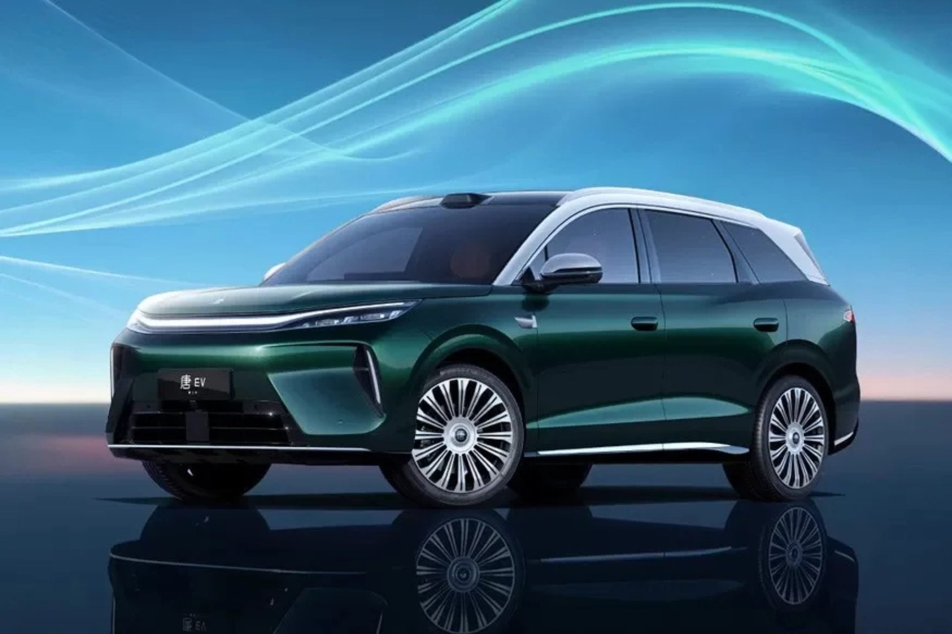 Byd Tang (1)
