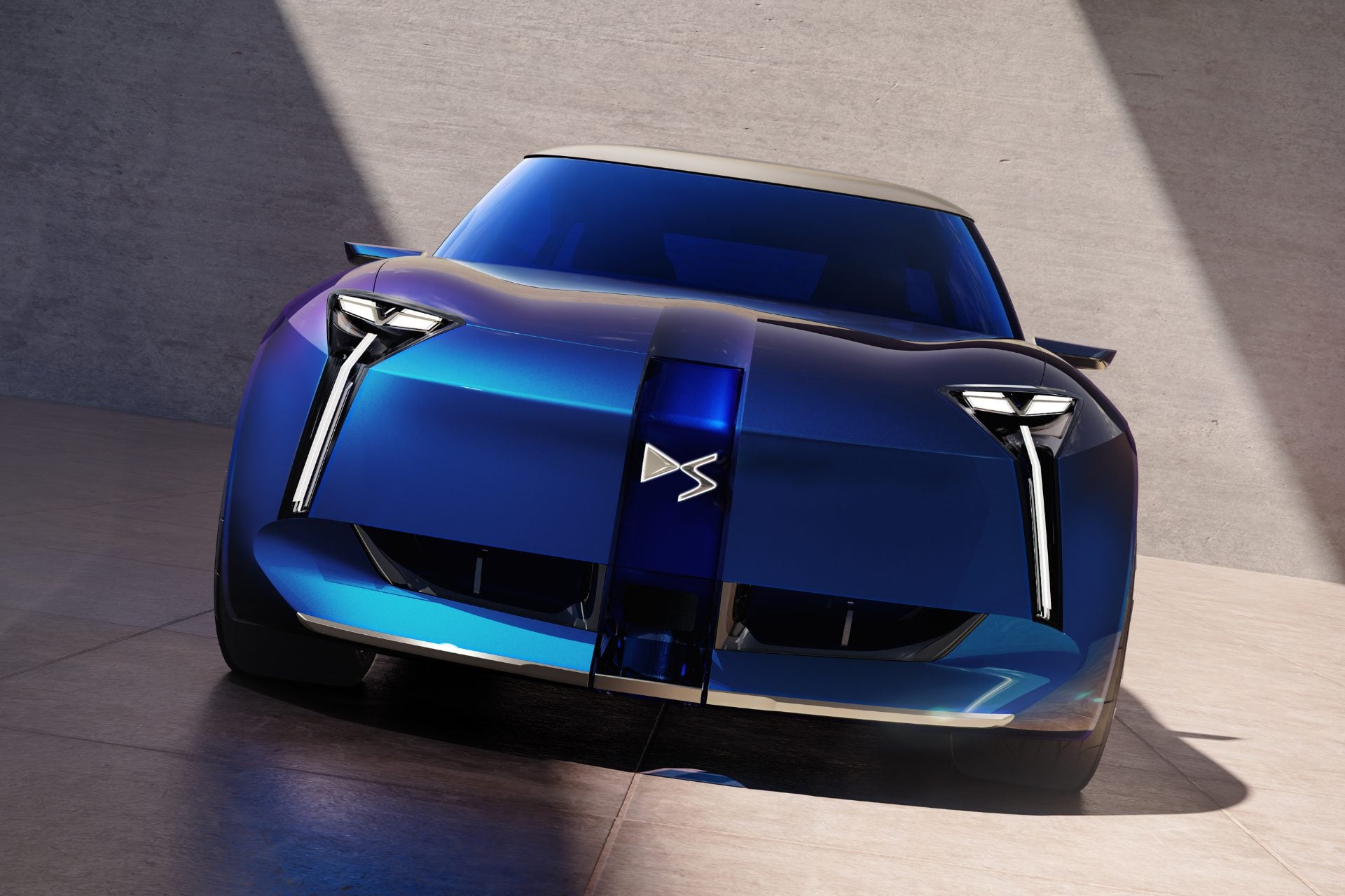 Ds F3ver (1)