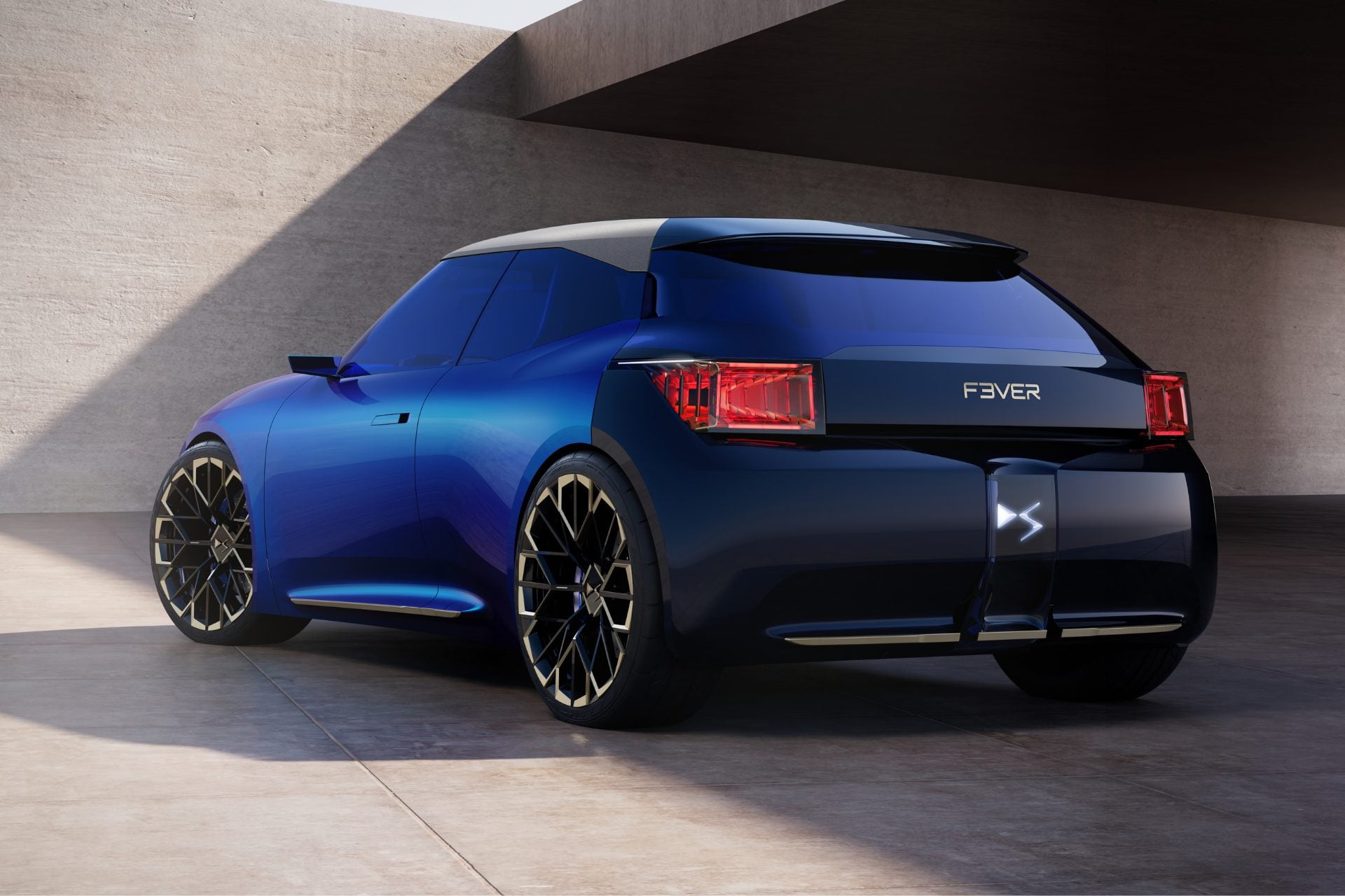 Ds F3ver (3)