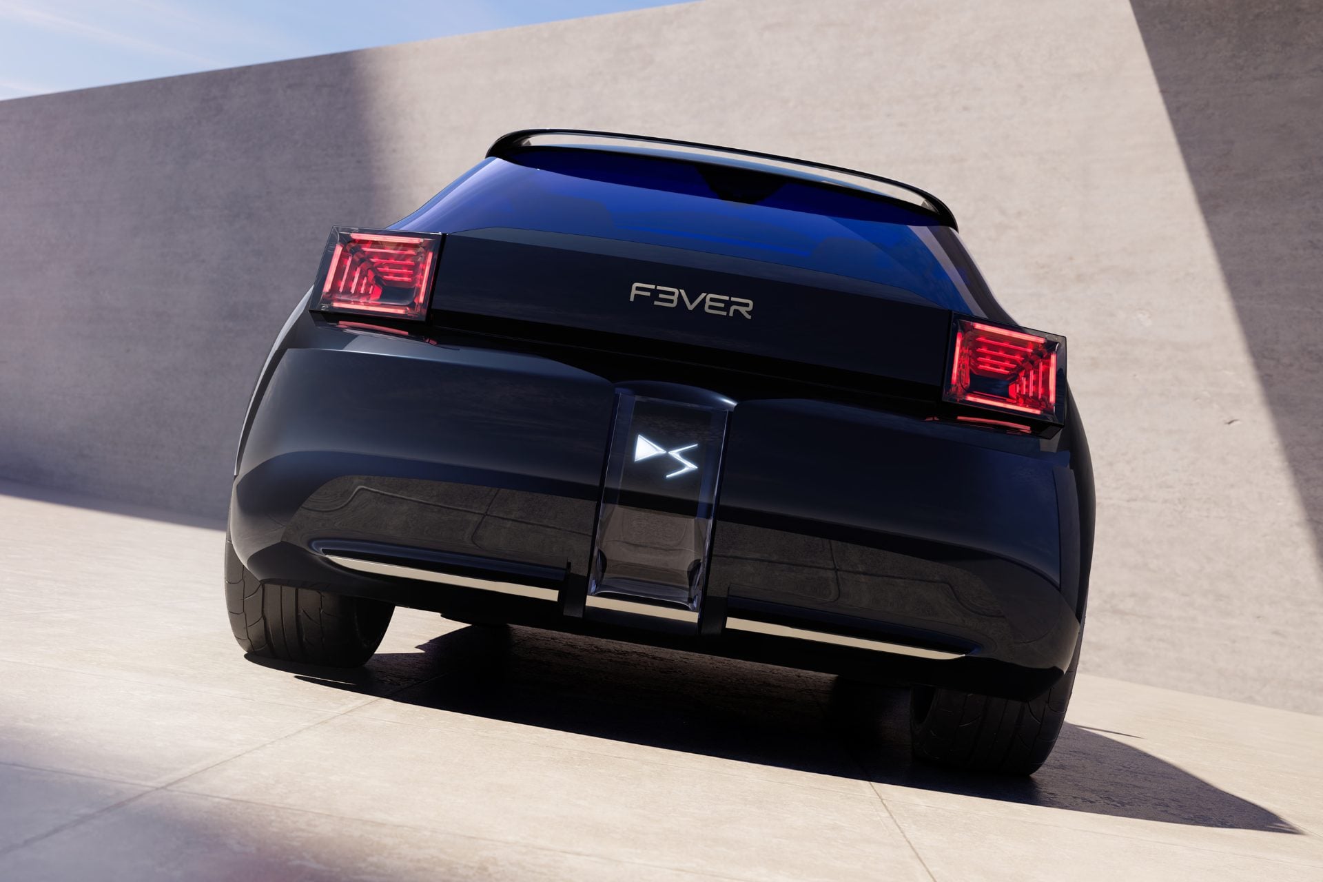 Ds F3ver (5)
