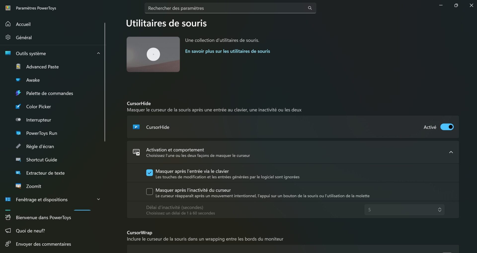 Powertoys 0.102 Cursorhide