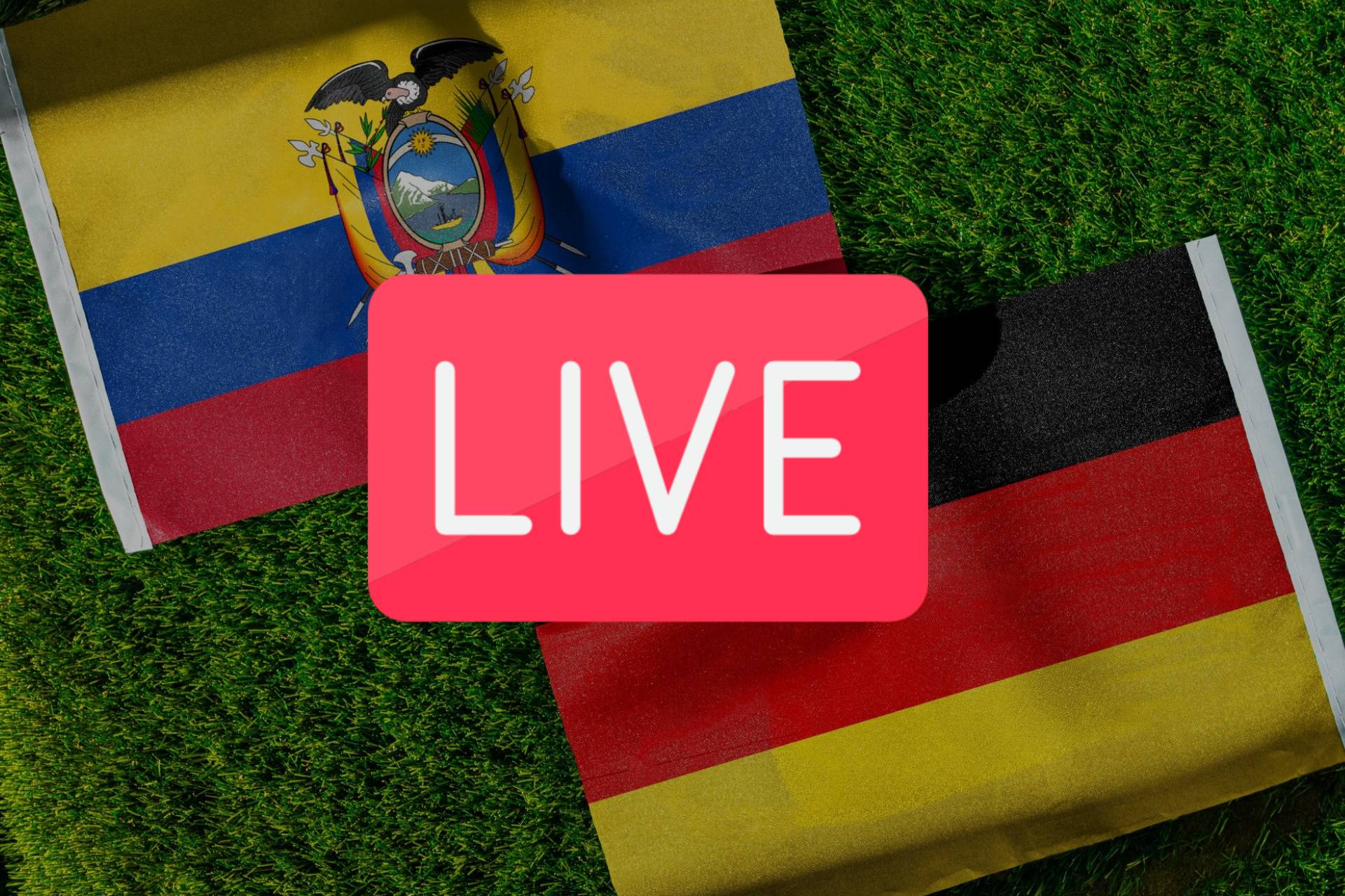 Ecuador Vs Germany