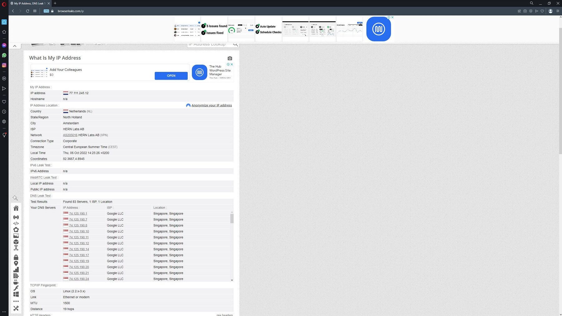 Opera VPN IP Leak 2