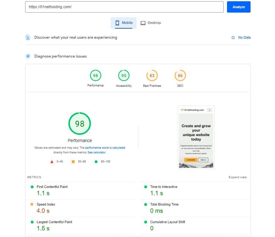 SG PageSpeed Insights Mobile