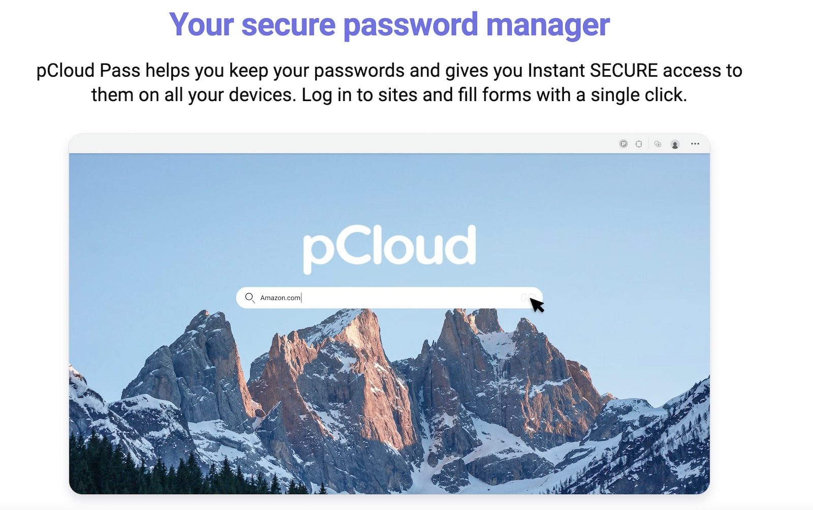 pCloud Pass manager password