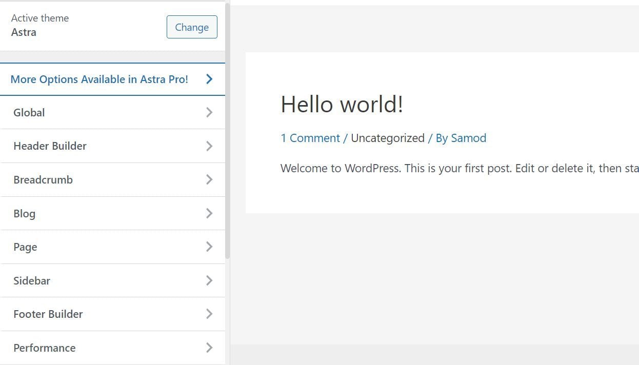 WordPress Customizer