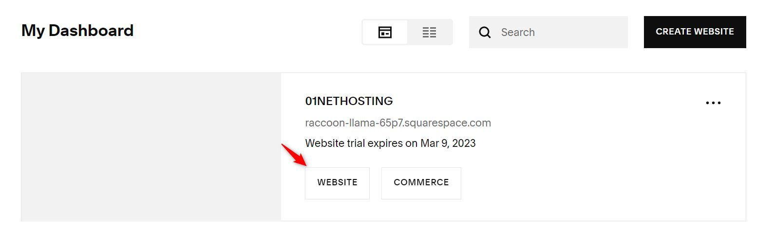Click on the Website Button from Squarespace Account Dashboard