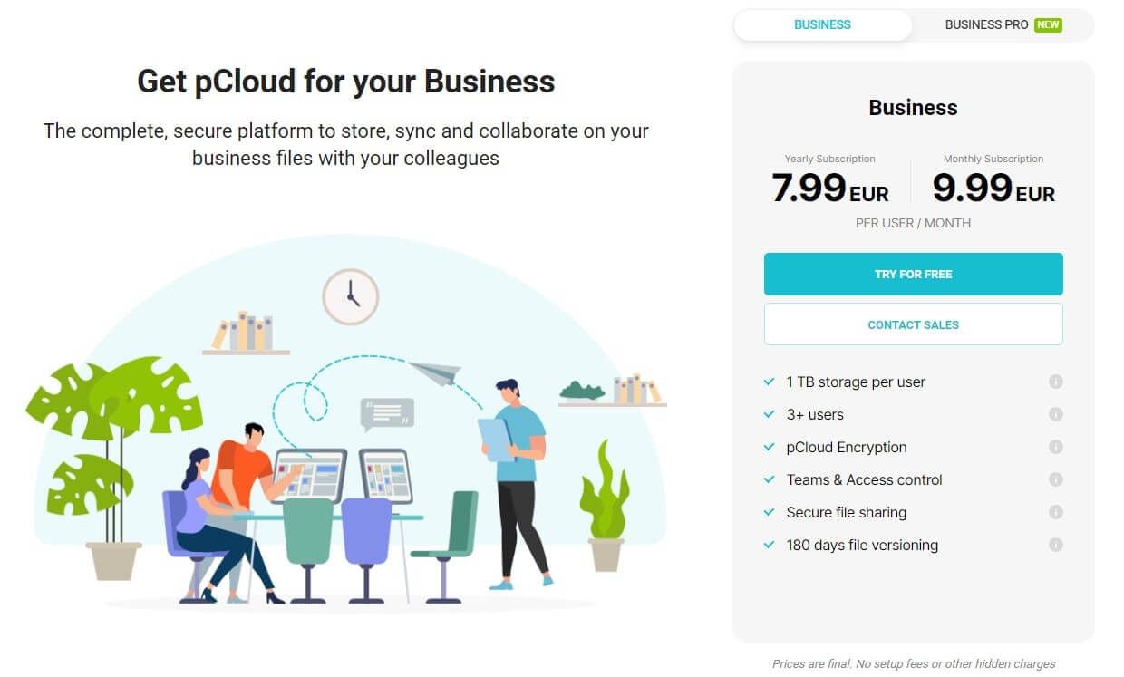 pCloud Business 1