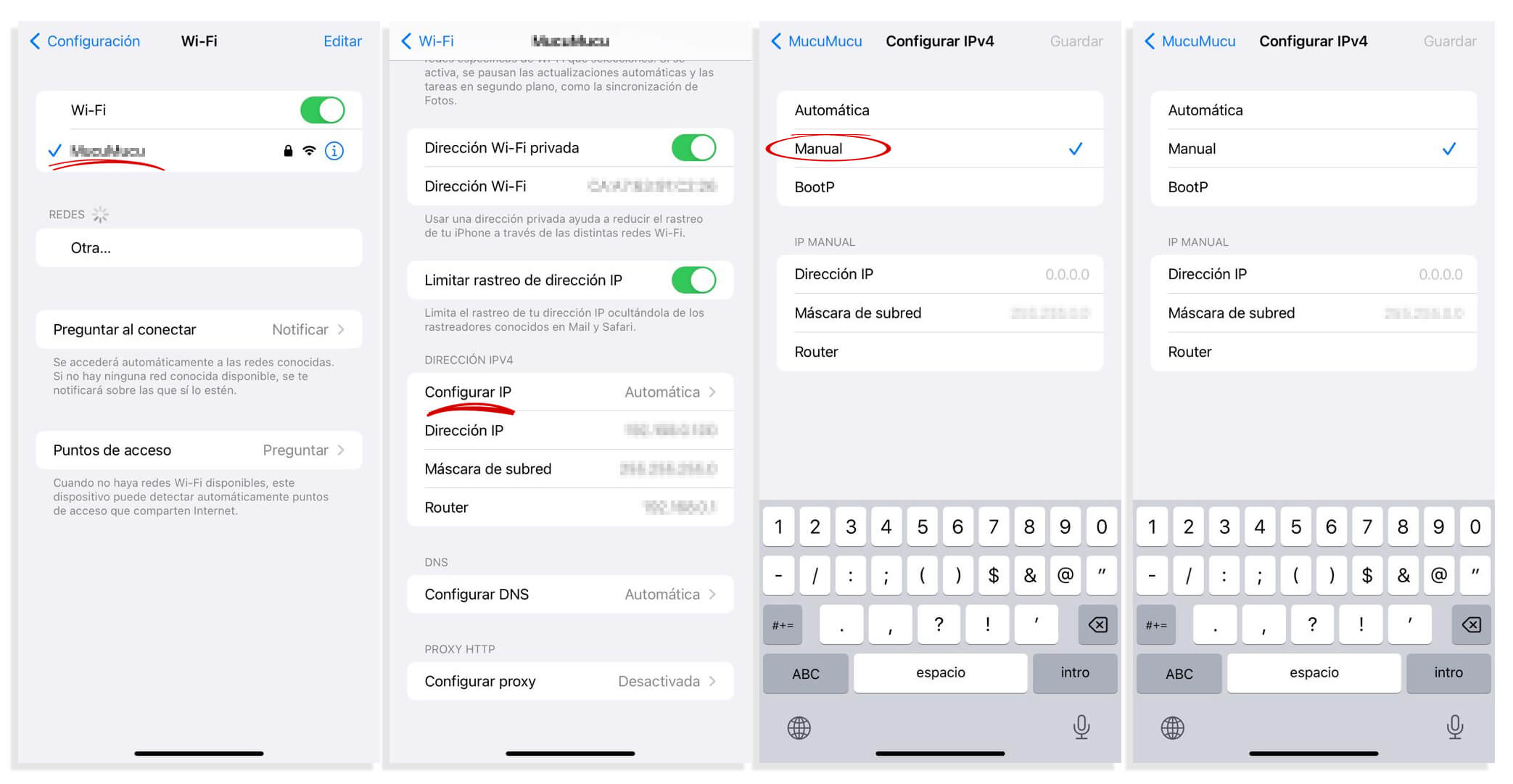 Cambiar IP en iOS