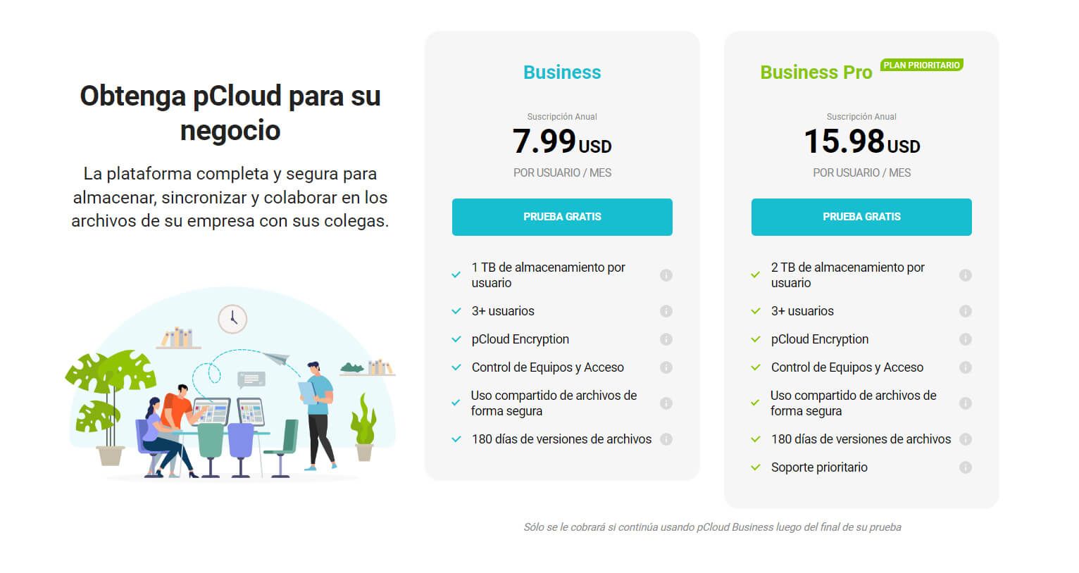 Pcloud Plan Business