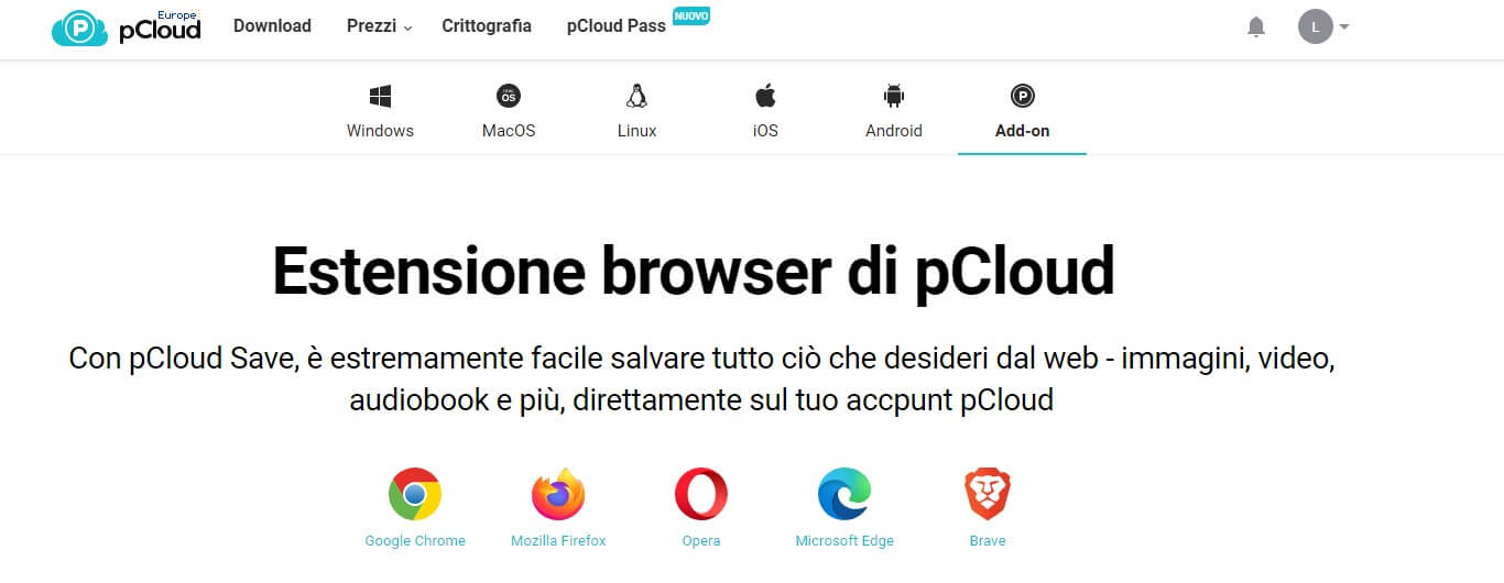 Pcloud Browser