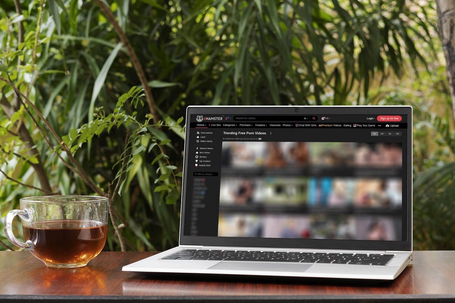 Guarda Xhamster In Italia Senza Verifica Dell'età