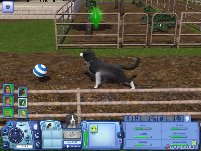 Preview Les Sims 3 : Animaux & Cie sur PC du 22/09/2011