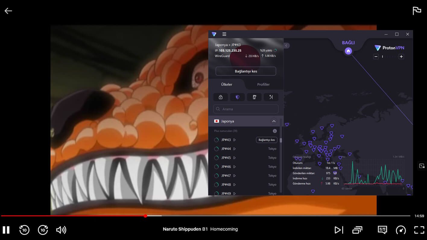 ProtonVPN Netflix Japonya